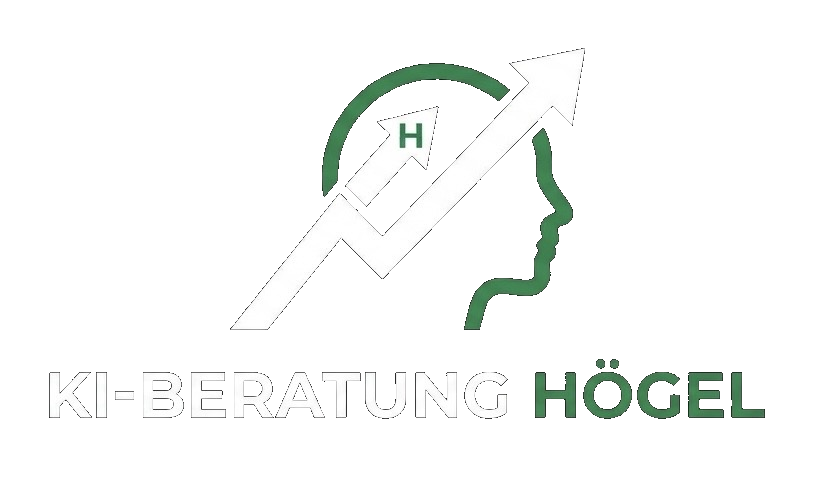 KI-Beratung H&ouml;gel